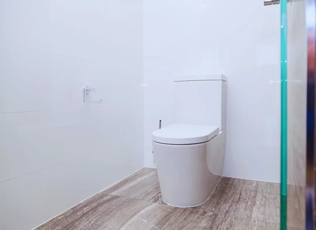 Remplacement de wc Le Blanc